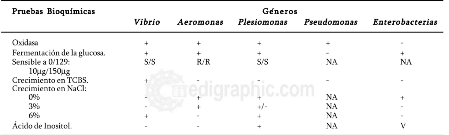 Cuadro 2. Pruebas bioquímicas diferenciales entre géneros relacionados con las  Aeromonadales.