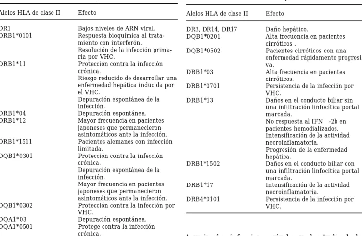 Cuadro III. Efecto dañino de algunos alelos HLA en la