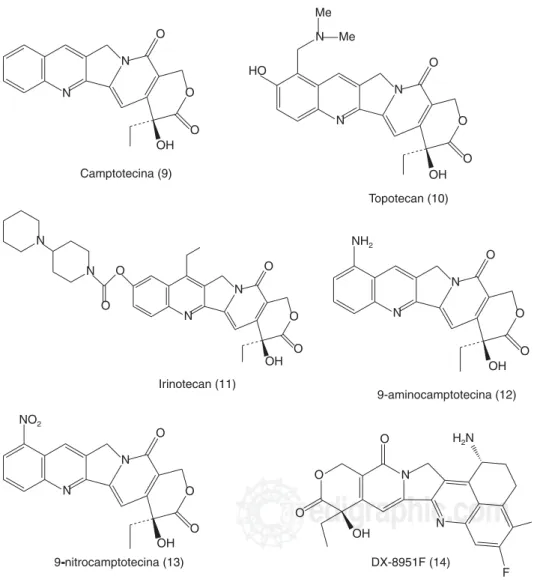Figura 3. Estructuras quími-