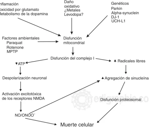 Figura 2. La alteración del complejo I