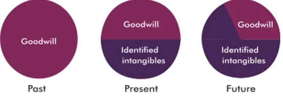 Figure 2 illustrates the evolution of the goodwill  assets  and  the  identification  of  the  intangible  assets  [6]
