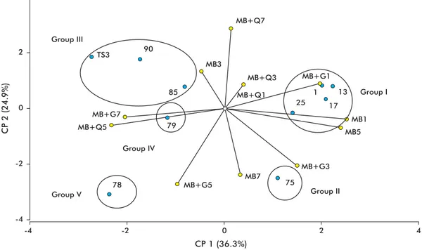 Figure 2. Main component (CP) analysis of the behavior of β-1,3-glucanase activity in different induction media