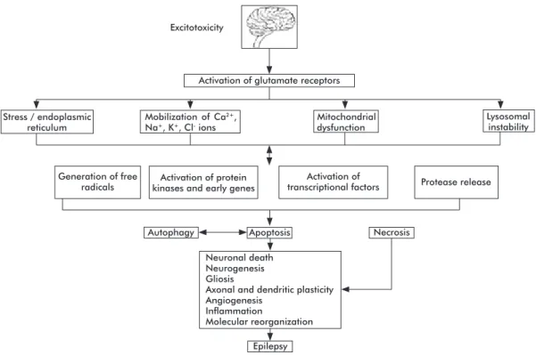 Figure 4. Excitotoxicity mechanisms in neurological disorders such as epilepsy, modified from Wang &amp; Qin [2] and Pitkanen [95]