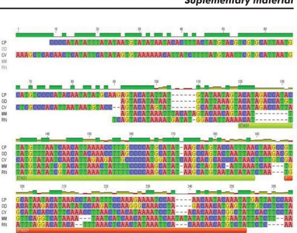 Figure 1. Alignment of the ETAS domain sequences of Capromys pilorides (CP), Octodon degus (OD), Cavia porcellus (CV), Mus 
