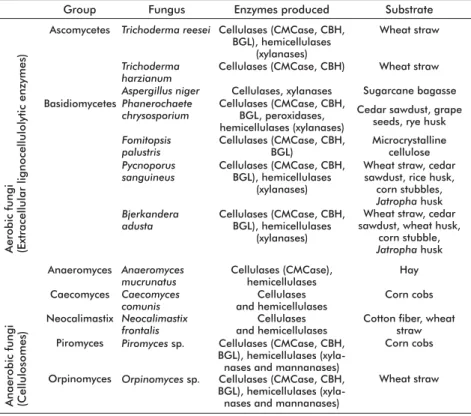 Table 1. Some aerobic and anaerobic cellulolytic fungi, enzymes they produce and subs- subs-trates they degrade