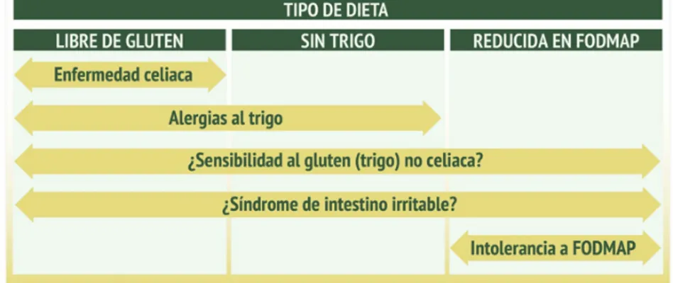 Figura 1. Tipos de dieta de acuerdo al diagnóstico de cada una de las enfermedades aso- aso-ciadas al trigo