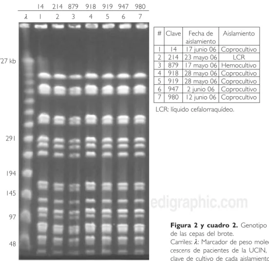 Figura 2 y cuadro 2. Genotipo por PFGE y fuente de aislamiento