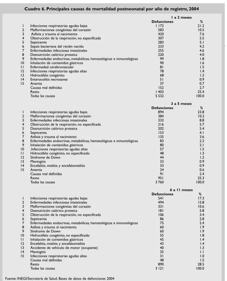 Cuadro 6. Principales causas de mortalidad postneonatal por año de registro, 2004