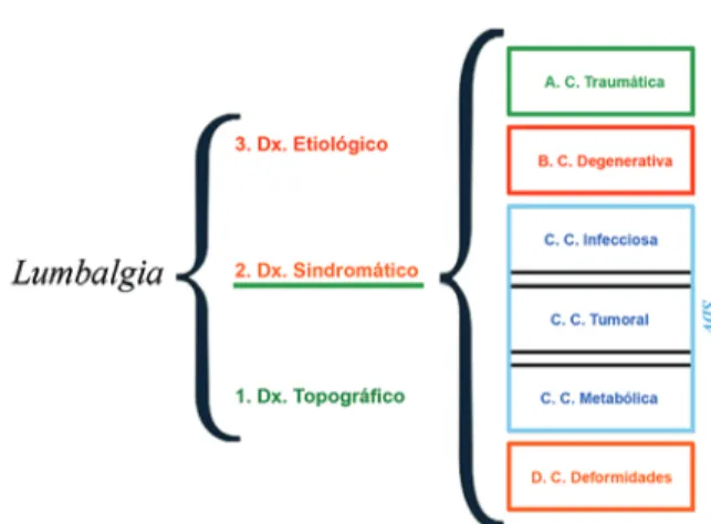 Figura 1. Diagnóstico basado en el algoritmo de referencia para 