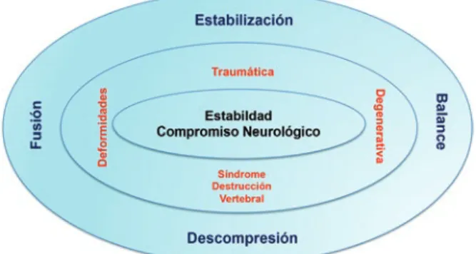 Figura 6. Directrices para la decisión de un procedimiento quirúrgico 