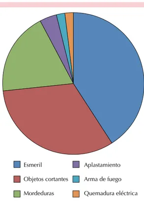 figura 5.  Correlación entre el sexo y mecanismo de  lesión.Esmeril         Objetos cortantes           MordedurasAplastamiento       Arma de fuego    Quemadura eléctrica Esmeril