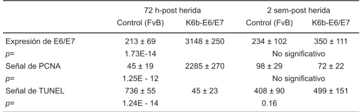 Cuadro I.  Niveles relativos de E6/E7, PCNA y TUNEL a las 72 horas 