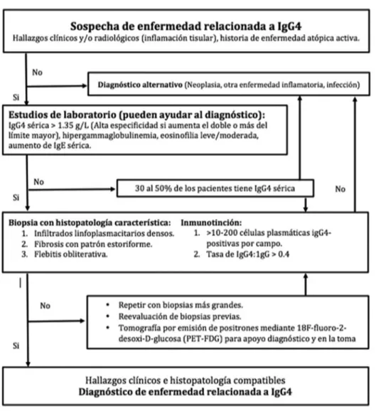 Figura 2. Algoritmo diagnóstico para la enfermedad relacionada con IgG4. Se muestra el abordaje diagnóstico propuesto por Umehara et al