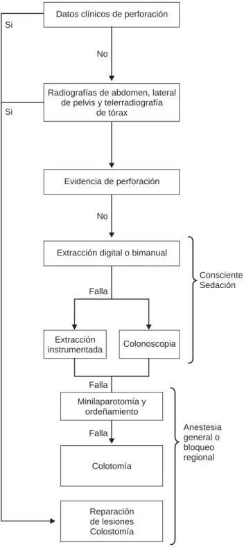 Fig. 5. Algoritmo de manejo basado en la experiencia del Hos- Hos-pital General de Tijuana