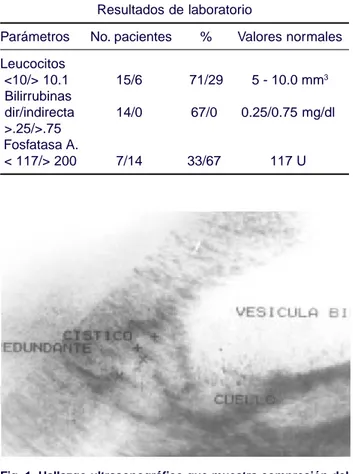 Fig. 1. Hallazgo ultrasonográfico que muestra compresión del colédoco con cístico redundante y bolsa de Hartmann.