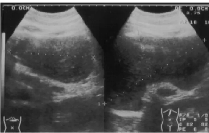 Fig. 2.Fig. 2.Fig. 2.Fig. 2.