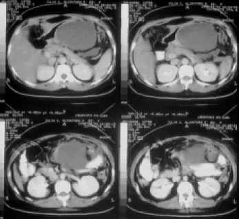Fig. 4.Fig. 4.Fig. 4.Fig. 4.