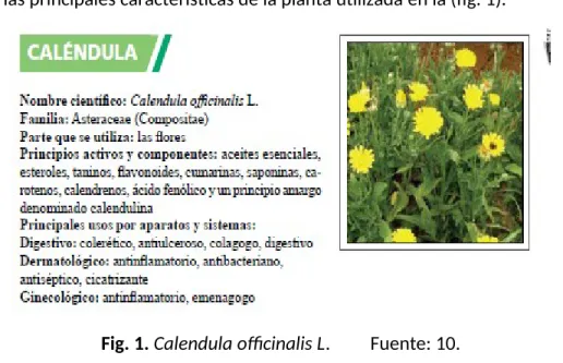 Fig. 1. Calendula officinalis L.         Fuente: 10.