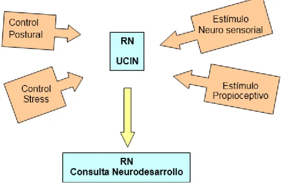 Fig. 1. Algoritmo de actuación. 
