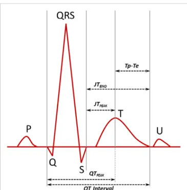 Figure 1. Several electrocardiographic measurements to  evaluate ventricular repolarization