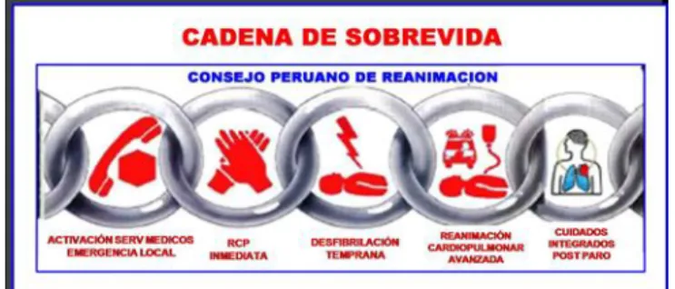 Figura 1. Cadena de sobrevida. 