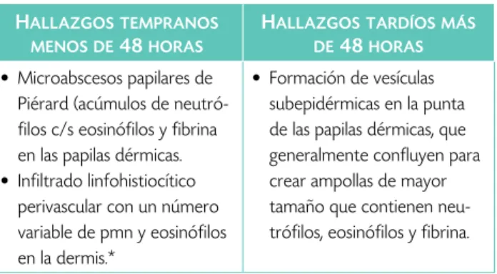 Figura 10.  Biopsia.