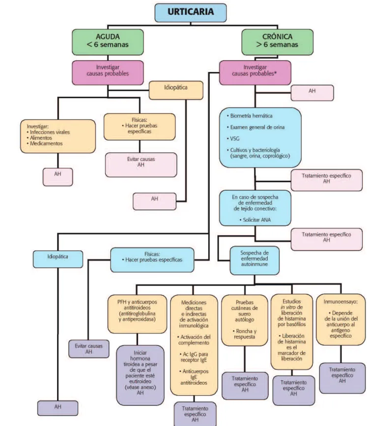 Cuadro 3. Algoritmo de abordaje de la urticaria.