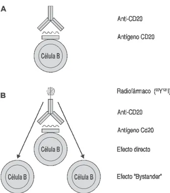 Figura 2. Anticuerpos anti-CD20 para la terapia en el linfoma 