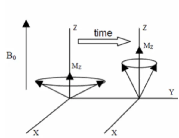 Figura 1.9: Decaimiento visto lateralmente.