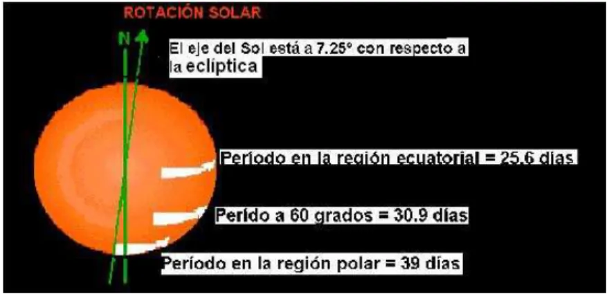 Figura 2.2: Rotaci´ on del Sol