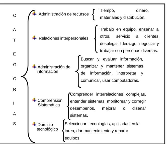 Cuadro 4: Grupo de Competencias  