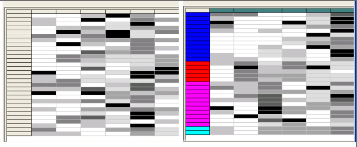 Fig. 3.11 (a) Clústeres sin estructura de sitios  Web de museos regionales 