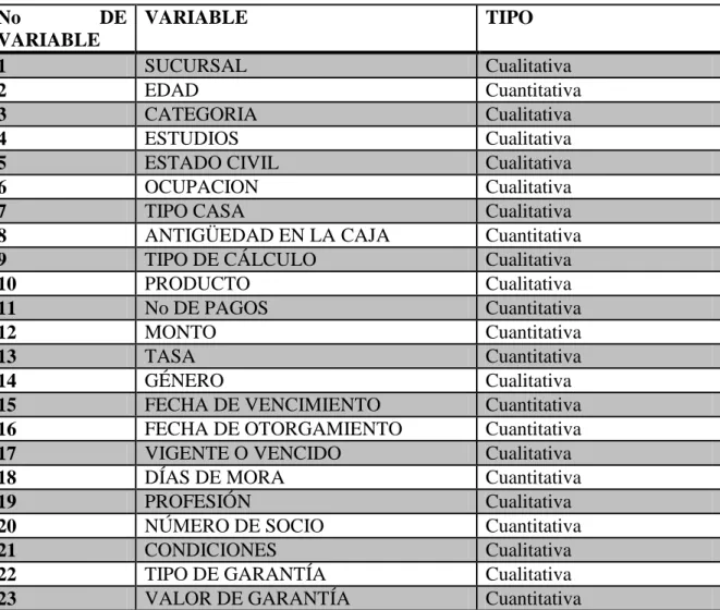 Cuadro 3. Variables Identificadas 