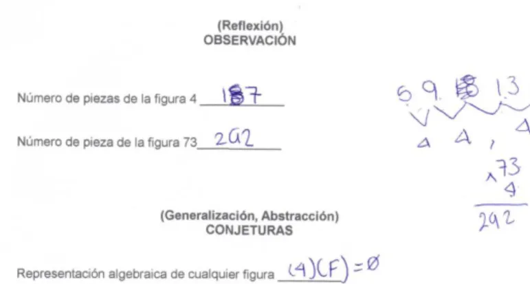 Figura 8. Conjetura incorrecta. 