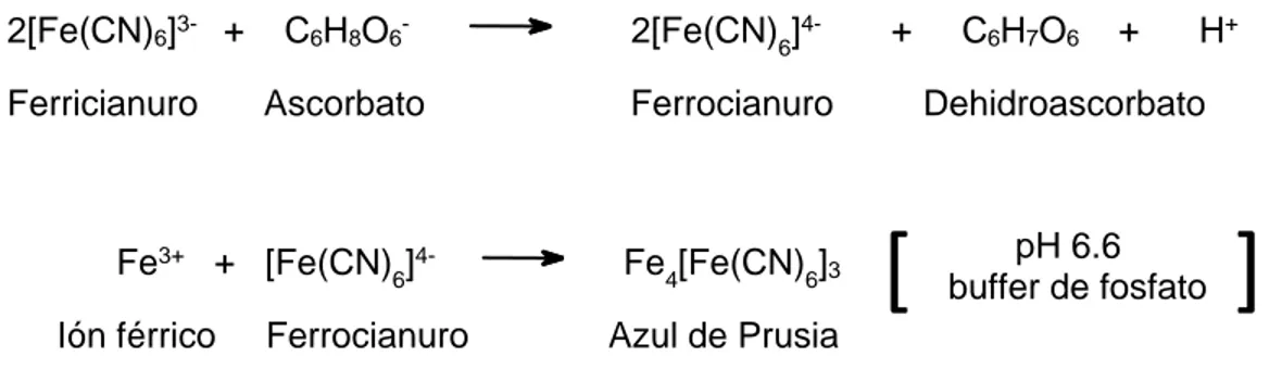Figura 8. Reacción de reducción de ferricianuro por antioxidantes 45