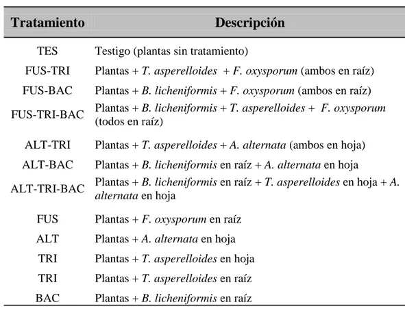 Tabla 8. Todos los tratamientos del experimento in vivo en plantas de jitomate 