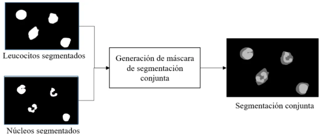 Figura 3.6: Proceso de creación de la máscara de segmentación conjunta.
