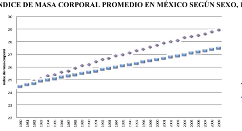 GRÁFICO 12 