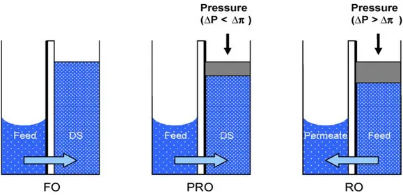 Fig. 1 Representation of solvent flow in FO, PRO, and RO. Membrane orientation is  indicated in each system by the thick black line representing the membrane’s active layer