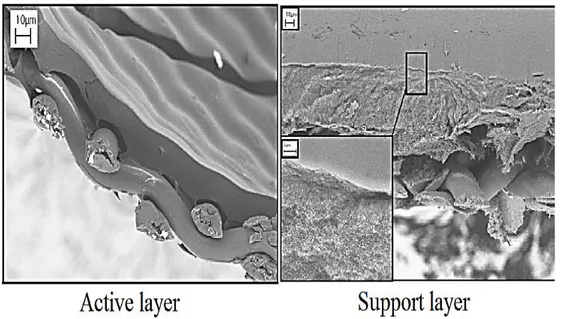 Fig. 8: SEM cross-section of the Polyamide/polyacrylonitrile (PAN) substrates made from  two polymer concentrations developed by Zhang et al