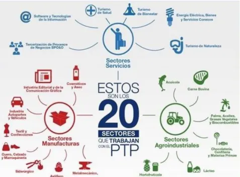 Ilustración 8.  Los 20 sectores PTP 