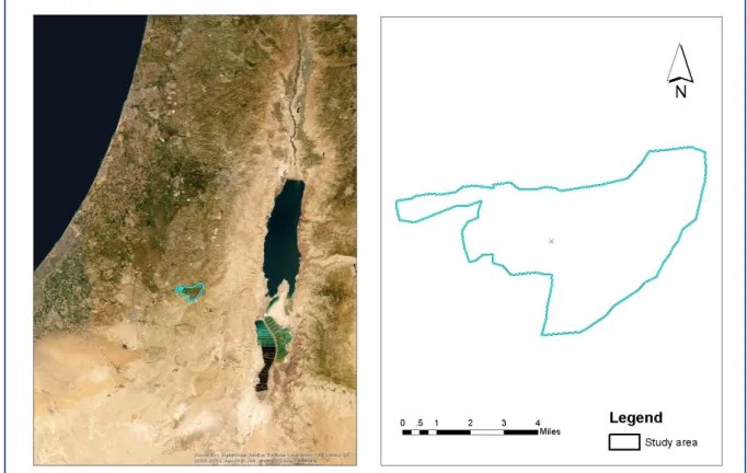 Figure 1: Location map of the study site Yatir Forest, Israel  