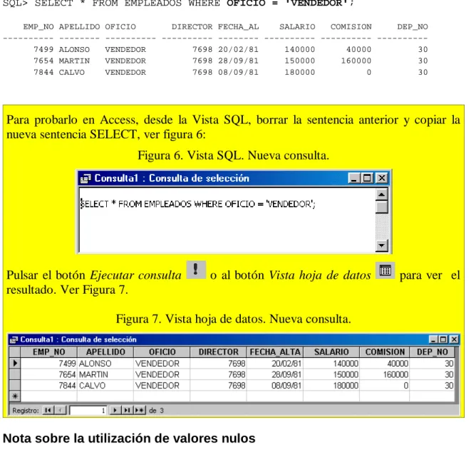 Figura 6. Vista SQL. Nueva consulta.