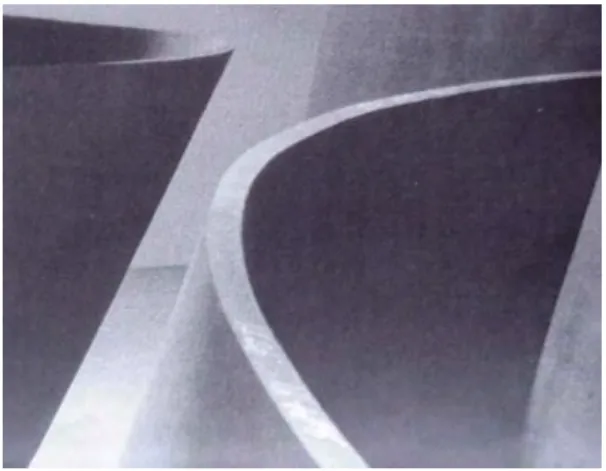 Fig. 31  Richard Serra.