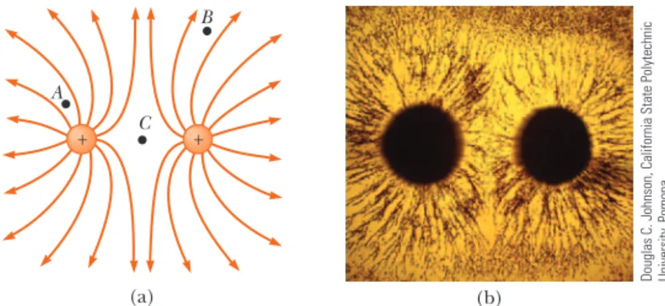 Figure 23.21 (a) The electric field lines for two positive point charges. (The locations A, B, and C are