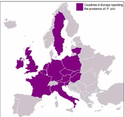 Figure 3. Distribution  map of  P. alni in Europe (the  map has been published before 2010