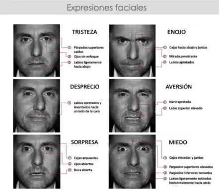 Figura 1. Expresiones faciales según Ekman. Fuente: www. montsealtarriba.com 
