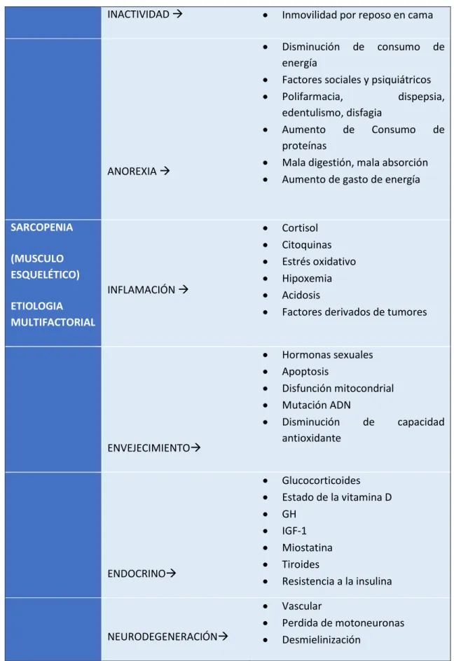 TABLA I. Sarcopenia y su etología multifactorial.  42 42 