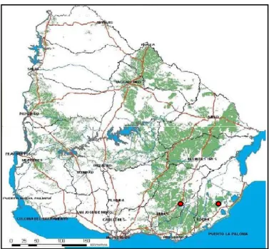 Figura 4. Principales zonas forestales del Uruguay (en verde) y ubicación de los  ensayos analizados (puntos rojos)