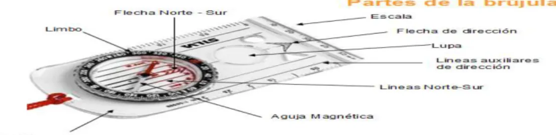 Figura 4 Partes de una brújula. 